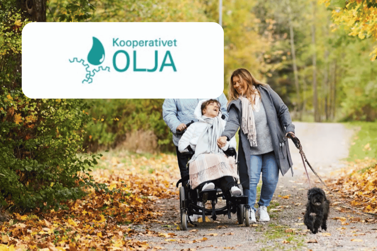 Naturbild med personlig assistans Kooperativet Olja