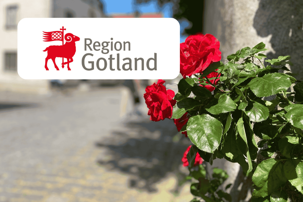 Rosor längs muren med logo Region Gotland